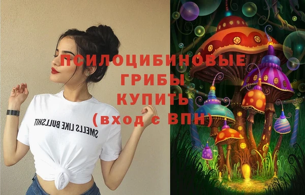 гидропоника Покачи