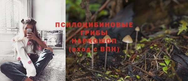 гидропоника Покачи