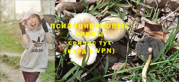 гидропоника Покачи