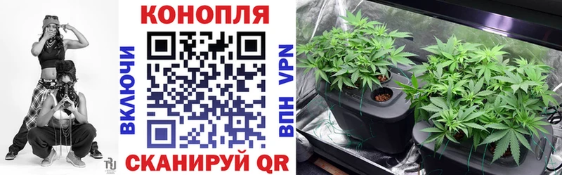 Каннабис индика  Купить закладки  Ленинградская 